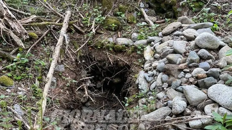 La fossa sarebbe stata scavata la notte stessa del delitto - Foto © www.giornaledibrescia.it
