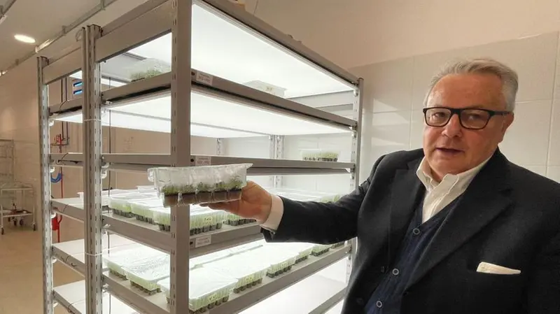 I laboratori di CiboCi sono a Montichiari