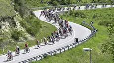 Giro d'Italia, vittoria di Hindley alla nona tappa Isernia-Blockhaus