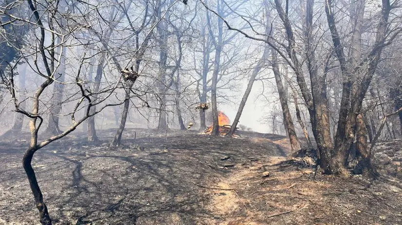 Incendio a Nave