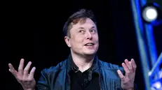 Elon Musk, l'uomo più ricco del mondo, patron di Tesla e ora di Twitter - Foto Epa © www.giornaledibrescia.it