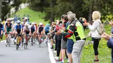 Applausi a bordo strada per il passaggio del Giro d'Italia al Gaver - Foto New Reporter Nicoli © www.giornaledibrescia.it
