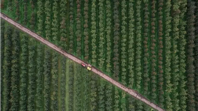 Un campo visto dall'alto - Foto tratta da infinity-id.com/agritech