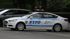 Sul posto gli uomini della polizia di New York (foto d'archivio)
