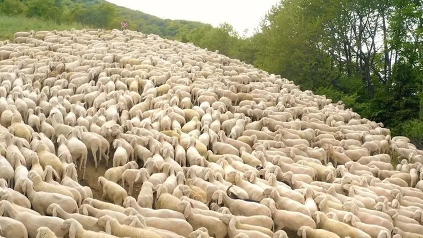 Un frame del doc di Rabotti, coadiuvato da Gaia Panigalli