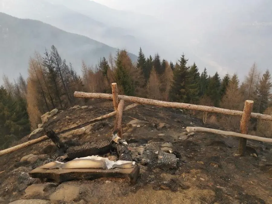 I boschi rasi al suolo per gli incendi in Valcamonica