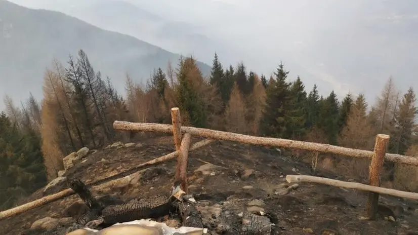 I boschi rasi al suolo per gli incendi in Valcamonica