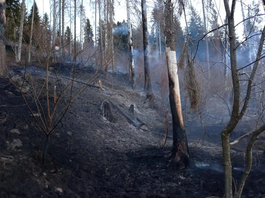 L'incendio nei boschi a Pezzaze