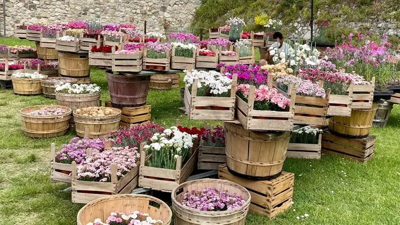 Composizioni di fiori in occasione di Fiori nella Rocca - © www.giornaledibrescia.it