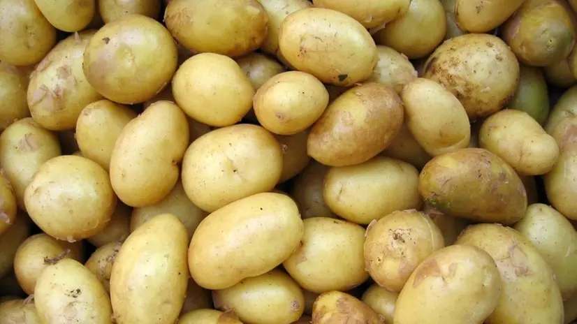 Patate novelle