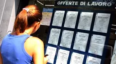 Alla ricerca di un’occupazione che garantisca il futuro - Foto © www.giornaledibrescia.it