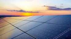 Il fotovoltaico è una delle principali fonti energetiche rinnovabili - © www.giornaledibrescia.it