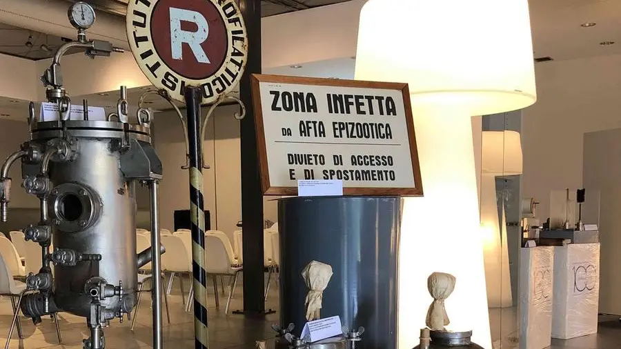 Viaggio nella storia: un dettaglio della «mostra-museo» allestita a Santa Giulia per l'evento dedicato allo Zooprofilattico - © www.giornaledibrescia.it