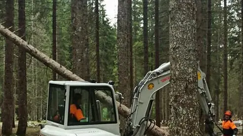 Rete Clima, Pefc Italia e Sorgenia al Pizzo Badile per ridurre il rischio di roghi