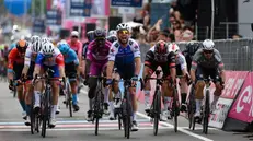 L'arrivo della terza tappa del Giro: vittoria di Cavendish e Mareczko, sulla destra, quinto - Foto Ansa © www.giornaledibrescia.it