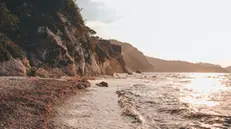Una spiaggia dell'isola d'Elba