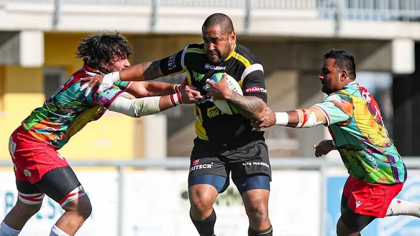 Vunisa in azione contro Colorno: resta punto fermo del Calvisano - Foto New Reporter © www.giornaledibrescia.it