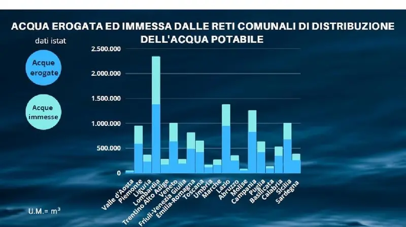 Il grafico elaborato dagli studenti - © www.giornaledibrescia.it