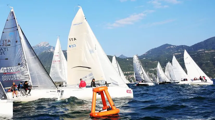 Minialtura in regata