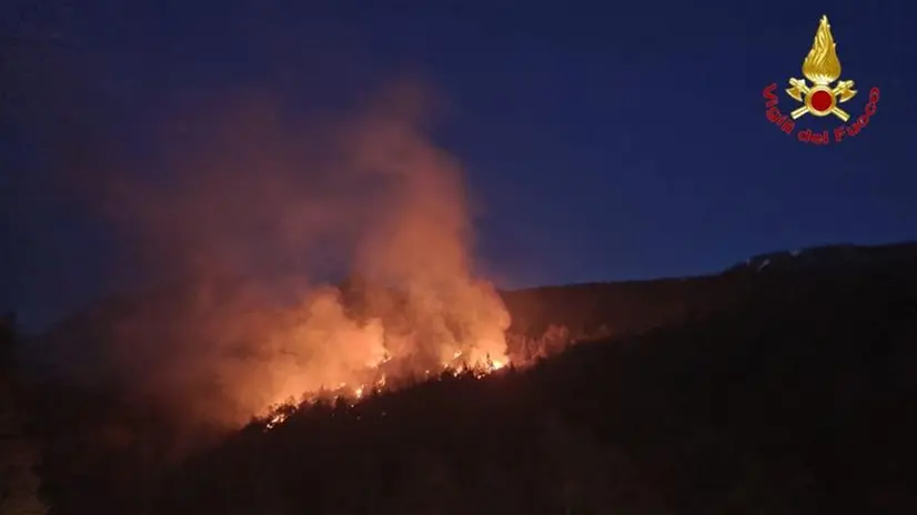 Il rogo in Val Grande nella notte tra domenica e lunedì