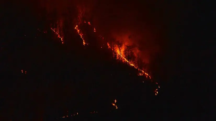 La linea delle fiamme nei boschi in Maddalena sopra a Nave - Foto Marco Ortogni/Neg © www.giornaledibrescia.it