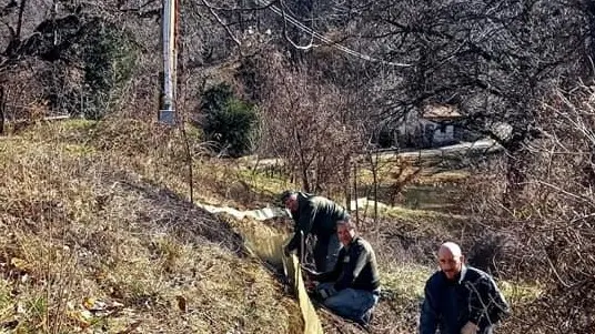 Le Guardie ecologiche sono al lavoro per salvare i rospi - © www.giornaledibrescia.it