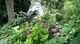 Alcuni scorci del Giardino Heller di Gardone Riviera