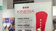 Alcuni prodotti di Kinesia - © www.giornaledibrescia.it