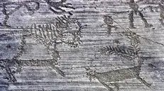 Valcamonica, le incisioni rupestri