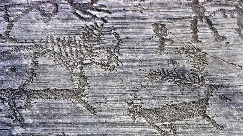 Valcamonica, le incisioni rupestri