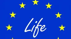 Il logo del programma europeo LIFE