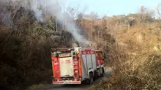 Vigili del fuoco al lavoro su un incendio boschivo (archivio) - © www.giornaledibrescia.it