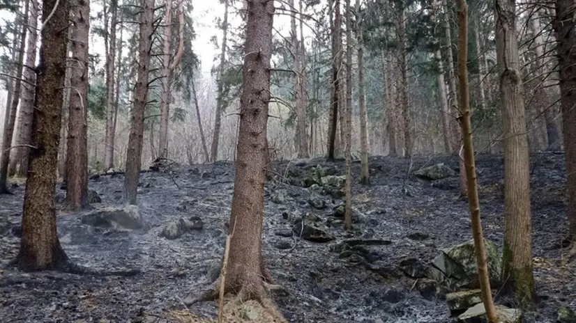 Incendi a Breno e all'Annunciata di Piancogno