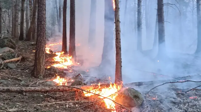 Breno, l'incendio avanza sul terreno particolarmente secco del bosco © www.giornaledibrescia.it