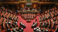 L'aula del Senato - Foto Ansa © www.giornaledibrescia.it