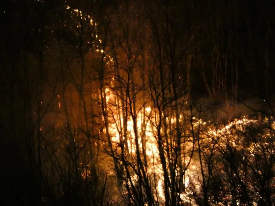 Incendio in Valcamonica