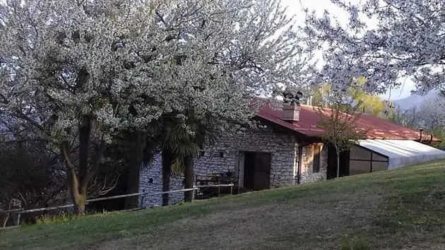 Lo Stallone si trova vicino alla cima del Monte Alto - © www.giornaledibrescia.it