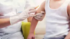 Un bambino riceve un vaccino (foto simbolica) - Foto © www.giornaledibrescia.it