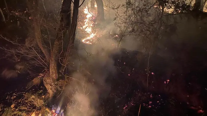 Botticino, l'incendio boschivo ripreso e domato nella notte
