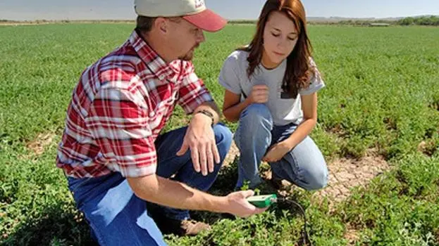 Sono oltre tremila le imprese agricole giovani in Lombardia