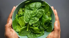 Una porzione di spinaci è un toccasana anche per la salute