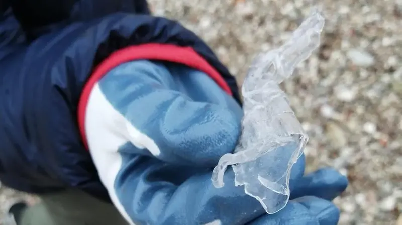 Le plastiche recuperate dagli studenti in spiaggia - © www.giornaledibrescia.it