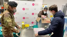 La consegna delle dosi del vaccino Novavax - Foto Ansa/Regione Marche © www.giornaledibrescia.it