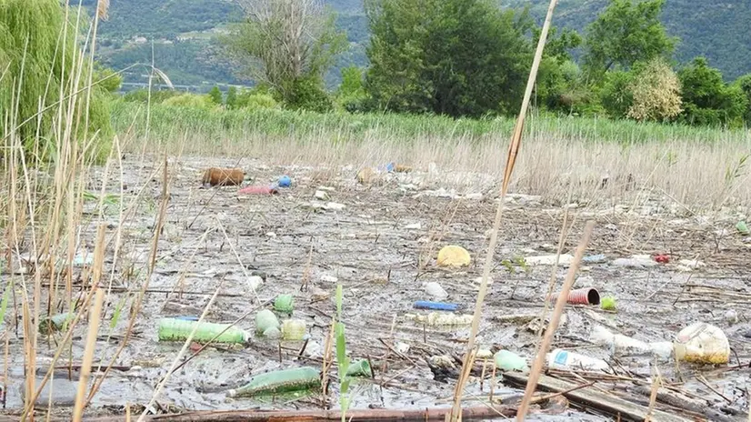 Rifiuti abbandonati alle Torbiere del Sebino - Foto © www.giornaledibrescia.it