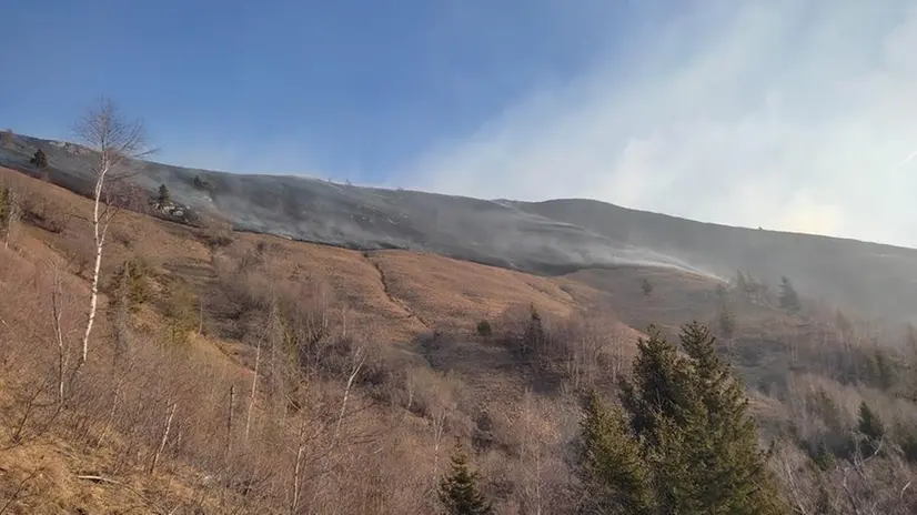 Le indagini sono state prese in carico dai carabinieri forestali
