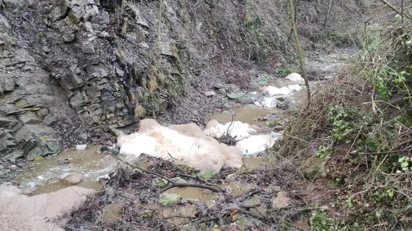 Sotto «attacco». Nuovo sversamento nelle acque del Gobbia