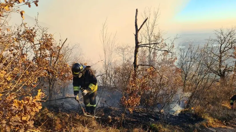 Incendio in Maddalena: Vigili del fuoco al lavoro per domare il rogo