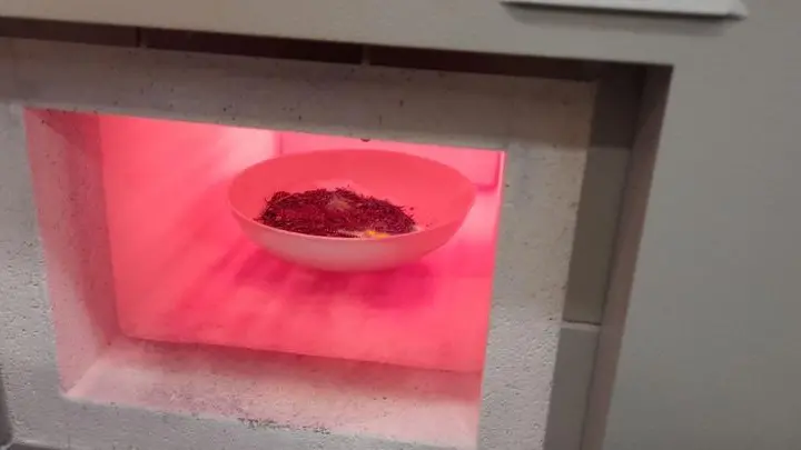 Carne, ossa e capelli bruciati nella muffola