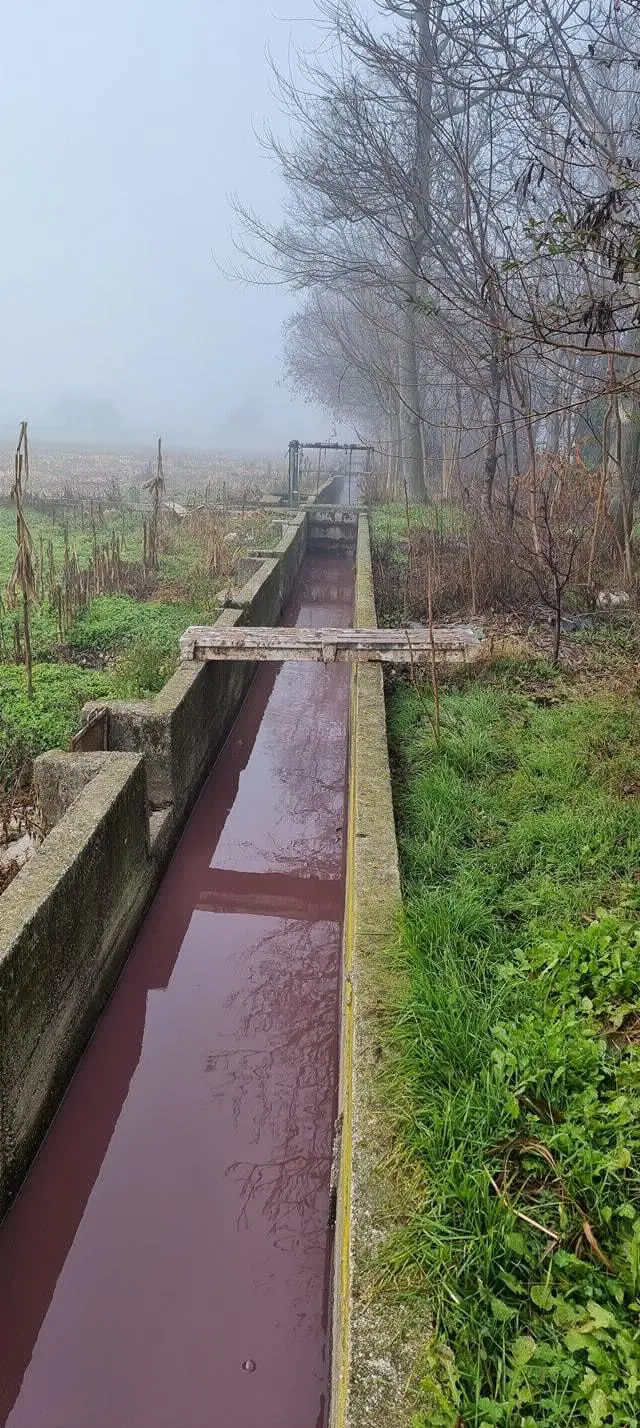 La roggia a Vighizzolo