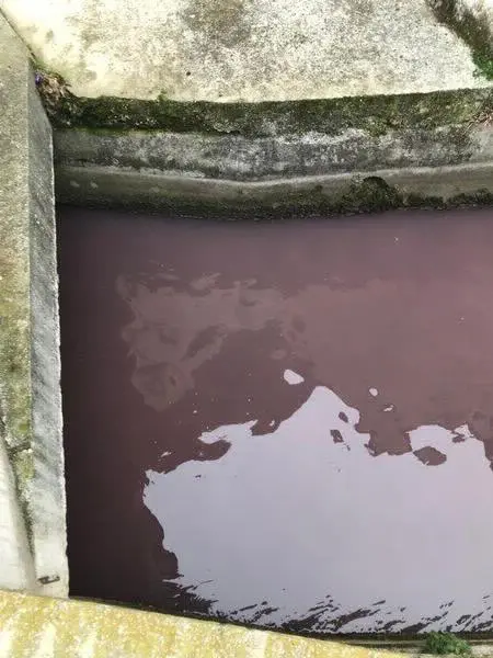 La roggia a Vighizzolo